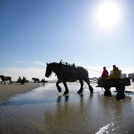 Lägenhet In Estartit With Sea Beach, Cleaning Included Nieuwpoort